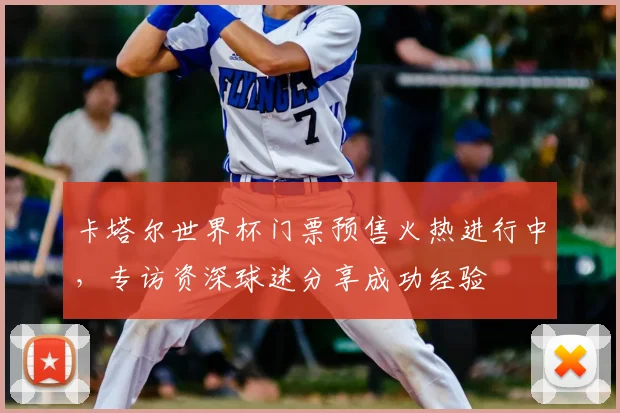 卡塔尔世界杯门票预售火热进行中，专访资深球迷分享成功经验